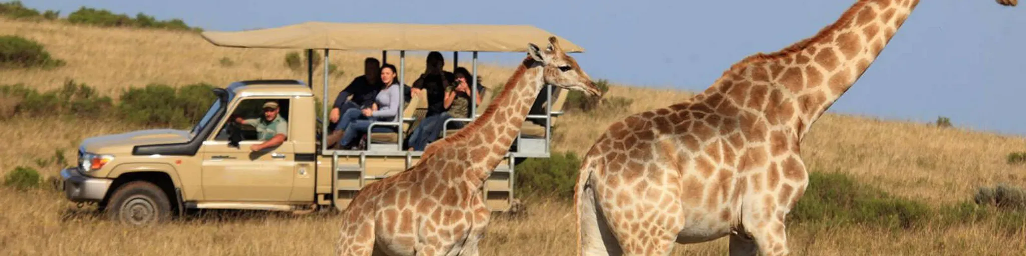 SAFARI