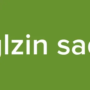glzin sad