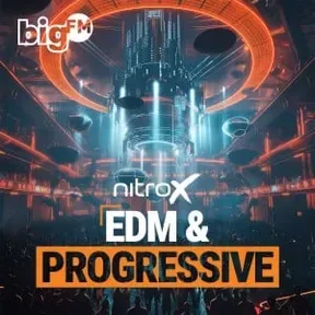 bigFM EDM & PROGRESSIVE (NitroX DJ-MIX)