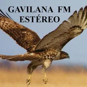 RADIO GAVILANA ESTÉREO