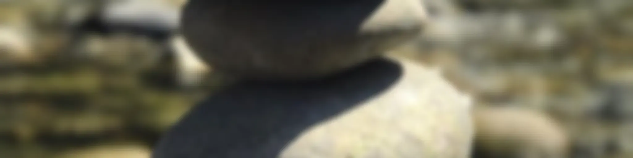 “Where’s Rachel?” A Podcast about everything