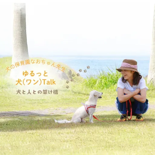 《犬が苦手💦》ワンコの【犬慣れ🐶必勝ポイント②～距離を図る】