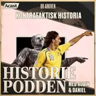 Ur arkiven: Kontrafaktisk historia (nr 356)