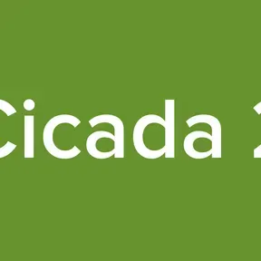 Cicada 2