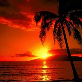 Sunset Chillout Lounge Downtempo