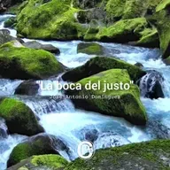 LA BOCA DEL JUSTO - JOSÉ ANTONIO DOMÍNGUEZ 