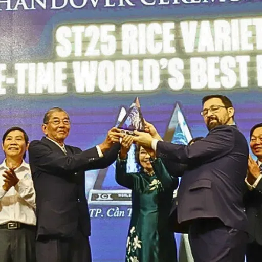 Anh hùng lao động Hồ Quang Cua lần thứ ba nhận cúp 'Gạo ngon nhất thế giới' với gạo ST25