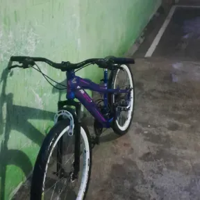 Danieltropa do 244