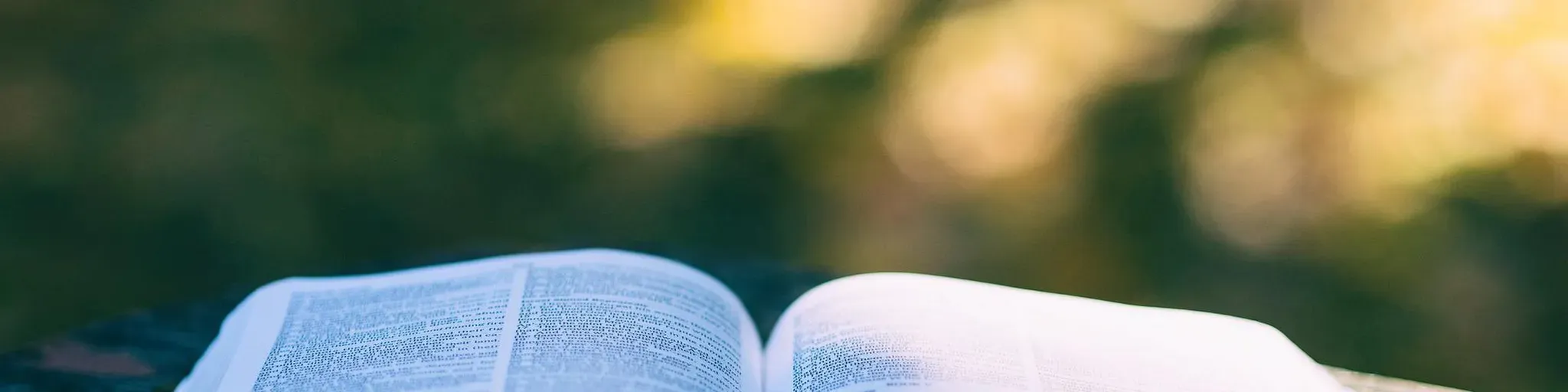 FALANDO DA BIBLIA