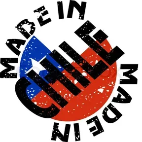 HECHO EN CHILE