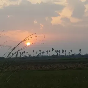 MalarFM