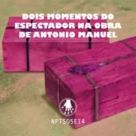 NPT S05E14: Dois momentos do espectador na obra de Antonio Manuel