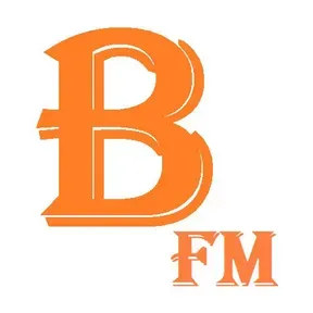 RADIO RADICAL SANTA  FE DO SUL - 2024