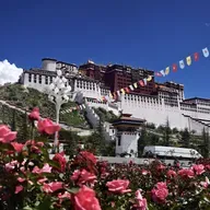 President Xi in Lhasa to mark 60th founding anniversary of Xizang Autonomous Region