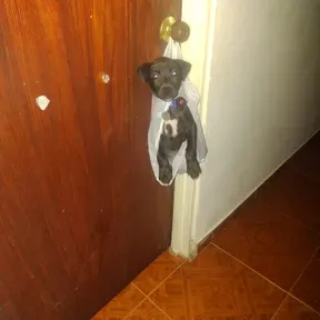 Prueba
