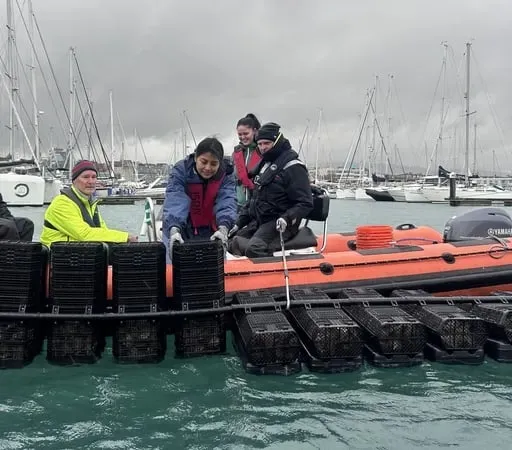 Tús Áite: Oisrí curtha i mBaile Átha Cliath