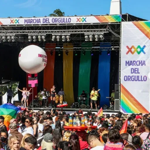 Entrevista a Magui Fernández Valdez: balance de la 30 Marcha del Orgullo | LCI #62
