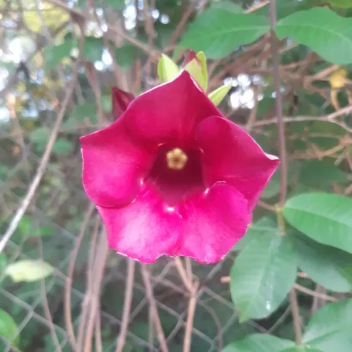 Estação Espírita 58