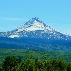 Raíces de mi tierra