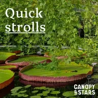 Quick Strolls: Natural Design