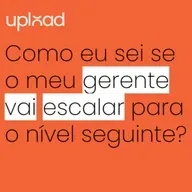 Como eu sei se o meu gerente vai escalar para o nivel seguinte? (Pergunte ao VC 333)