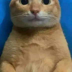 Ujjujjjjdjdjdjdj