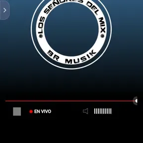 BR MUSIK