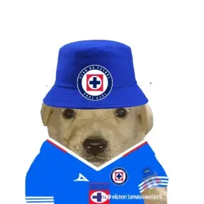 Gustavo