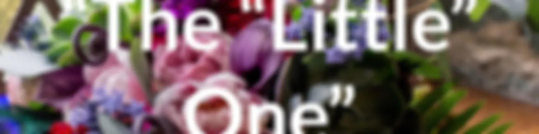 “The “Little” One”....."FOOD FOR THOUGHT....."