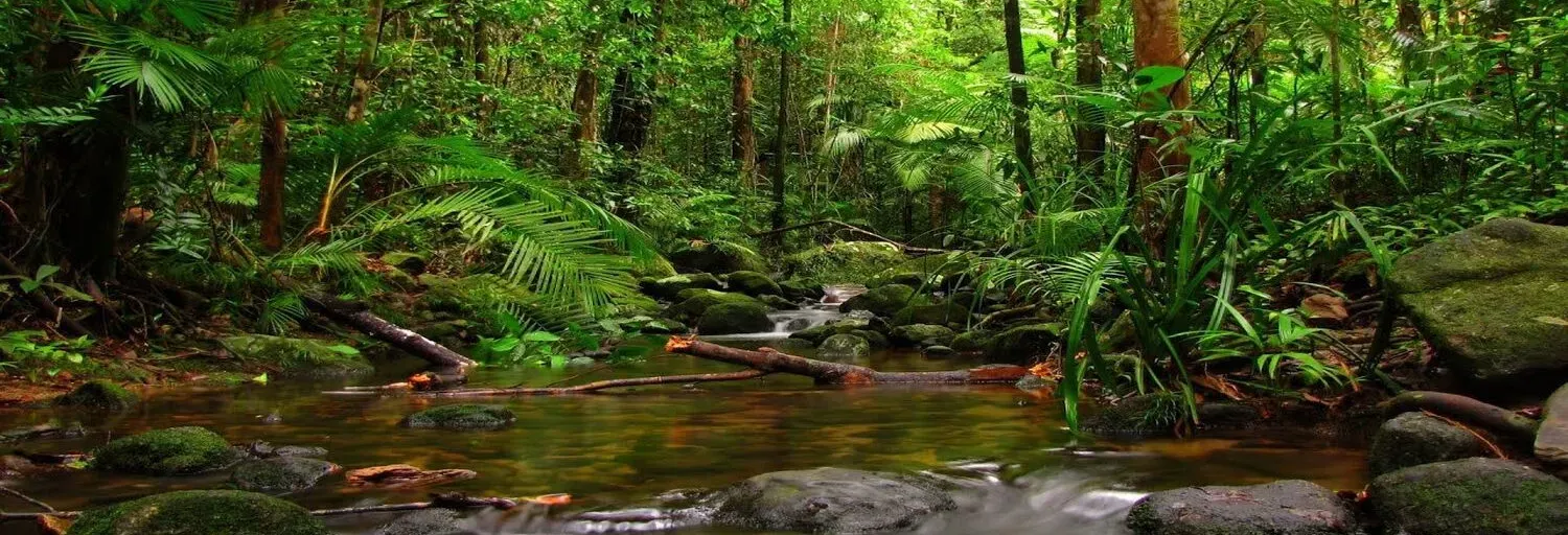 24 Nature