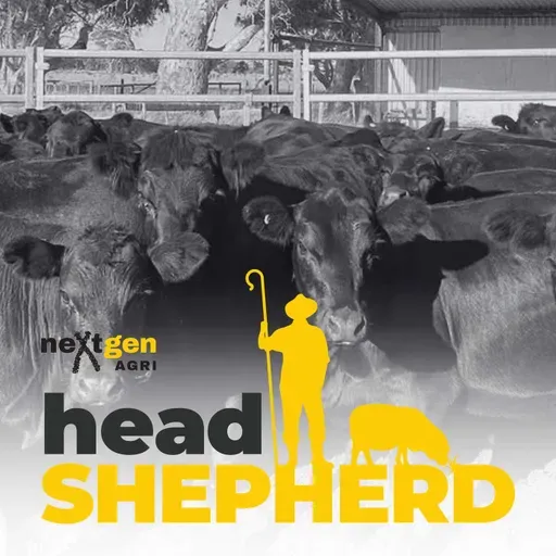 Using Genomics to Improve Heifer Selection in Commercial Beef Herds