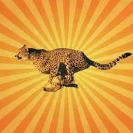 Le guépard a des choses à dire !