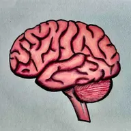 The Illusion of Explanatory Depth: Thinking We Know More Than We Do