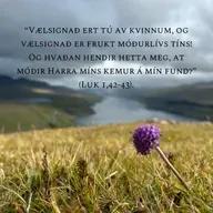 Um tey sleppa at liva