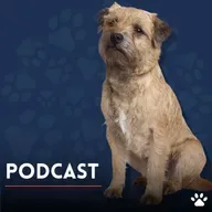 ¡Cuida a tu mascota como un experto!