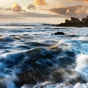 The Wave Radio