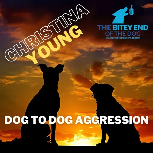 From Frenemies to Friends: Intra-Household Aggression with Christina Young