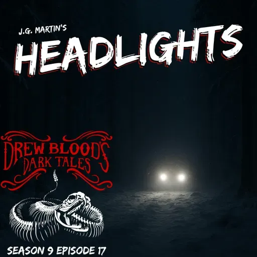 S9E17 - "Headlights" - Drew Blood