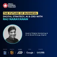 The Future of Business: Digital Strategy, AI & CRO with Raj Narayanan