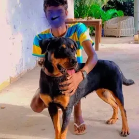 Jão.links