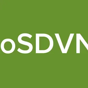 ioSDVN