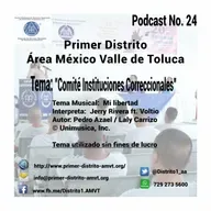 Comité de Instituciones Correccionales