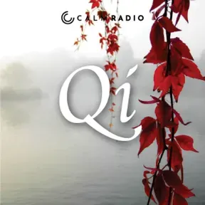 QI