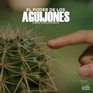 El Poder de los Aguijones
