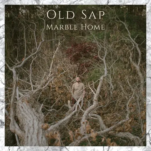 Old Sap Interview