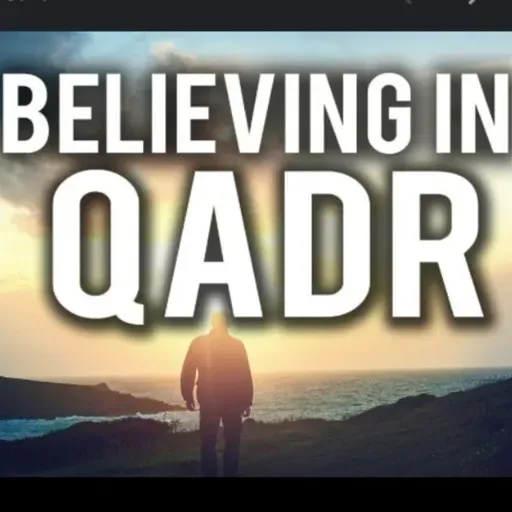 Trust In The Decree Of Allah | Quranic Post