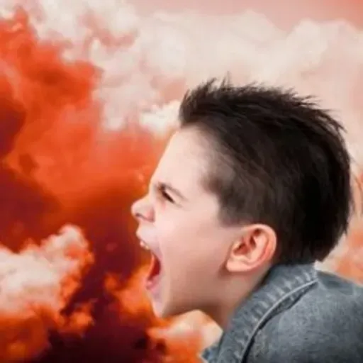 TRASTORNO DE LA CONDUCTA, POR LIBNY MÉRIDA Y MELISSA RODRIGUEZ