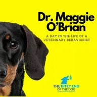 Beyond Training: The Medical Side of Aggression with Dr. Maggie O'Brian