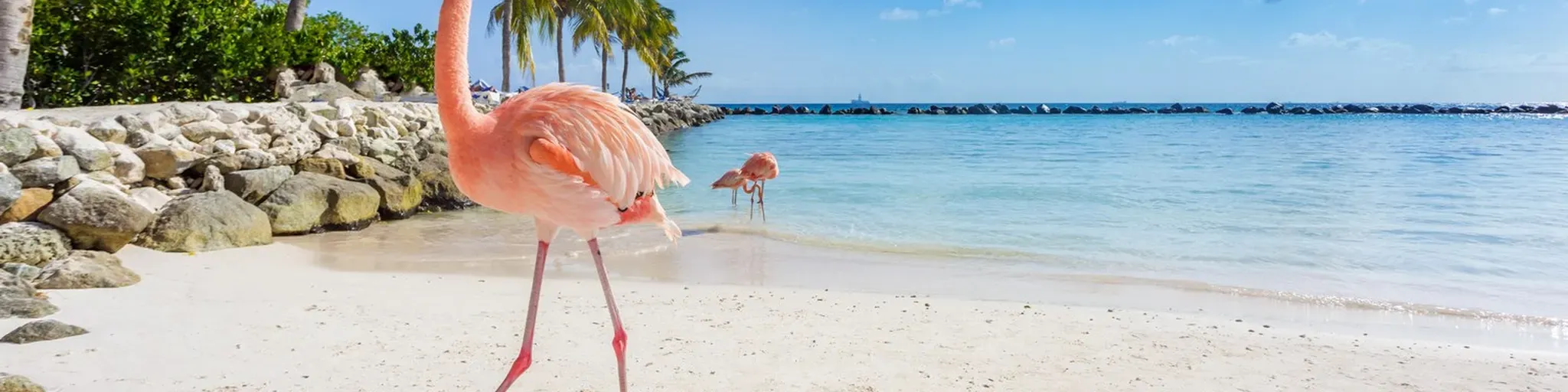 Clasicos del Caribe