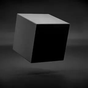 In the box